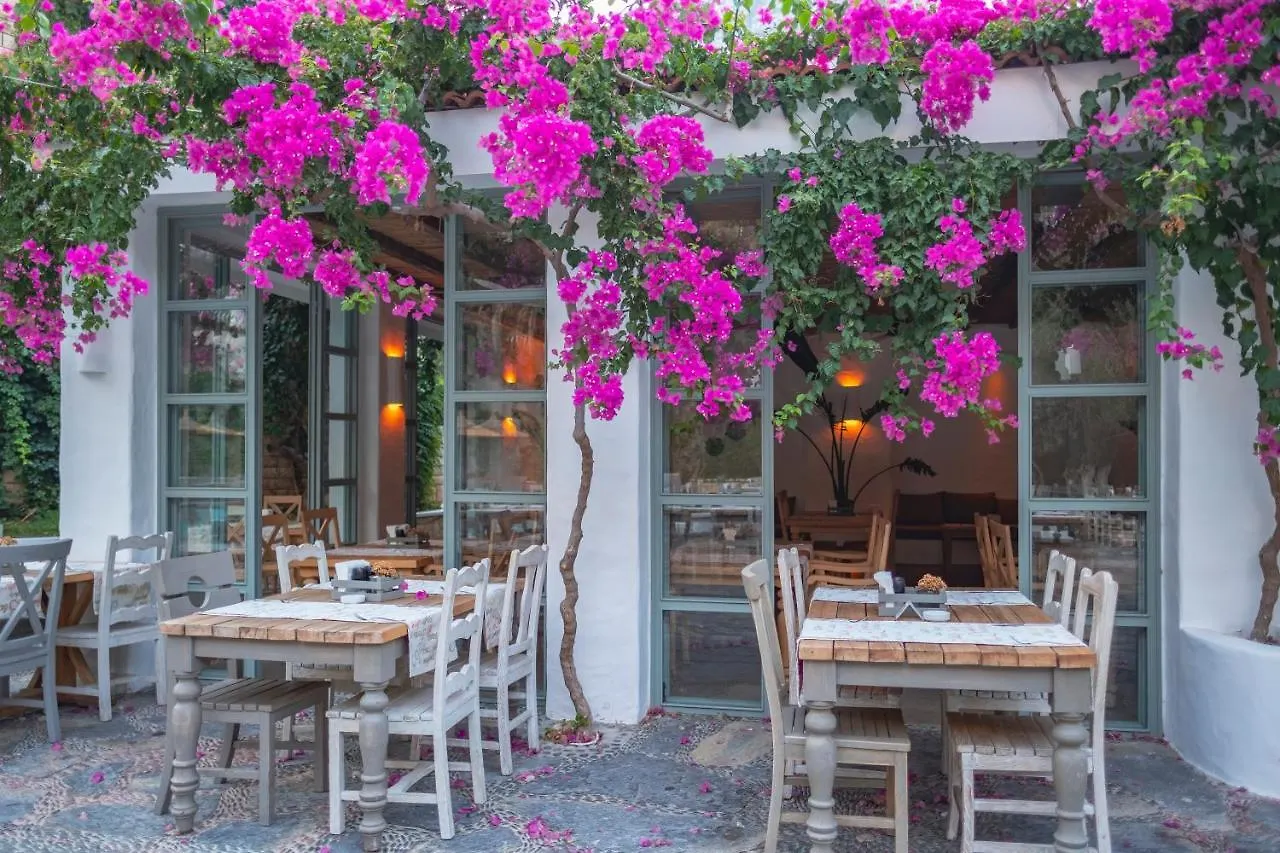 Flamingo Hotel & Spa - Pet Friendly Oludeniz